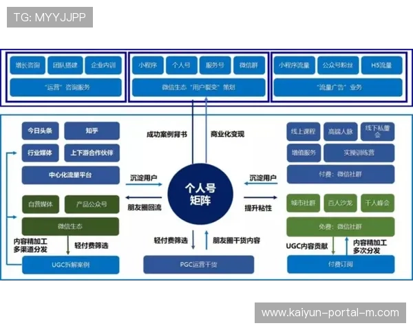 社交媒体与数字化营销策略，扩大全球粉丝基础提升品牌价值